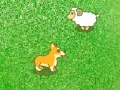 Game Dog and sheep