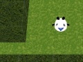 Jeu Panda Hates Mazes