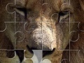 Jeu Lion Jigsaw