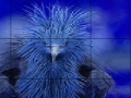 Jeu Timid blue bird slide puzzle