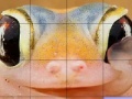 Jeu Pink frog slide puzzle