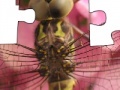 Jeu Jigsaw: Dragonfly