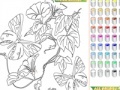 Jeu Kid's coloring: Flowers for Butterflies