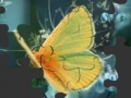 Jeu Butterfly