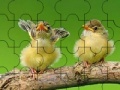 Jeu Two cute sparrow puzzle