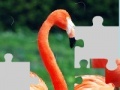 Jeu Flamingo puzzle