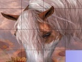 Jeu Slide Puzzle: Horse