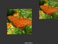 Jeu Orange Butterfly