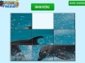 Game Dolphin Slider