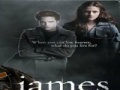 Jeu Twilight-James Jigsaw