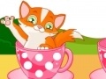 Game Cat in Cup
