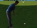 Jeu Flash Golf 3D
