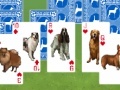 Jeu Best in show: Solitaire
