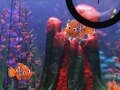 Jeu Finding Nemo hide and seek