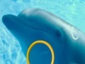 Game Dolphin Tale 2 Hidden Alphabets