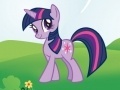 Game My Little Pony: Individual test