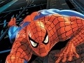 Jeu Spider-Man: Puzzles
