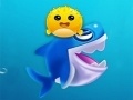 Game Shark Dash