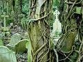 Jeu Highgate Cemetery Escape