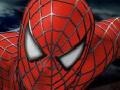 Jeu Spider-man 3: Rescue Mary Jane 