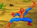 Jeu Spiderman: Hero Training 