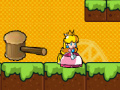 Game Princess Peach Go Adventure 