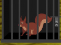Jeu Squirrel Cage Escape