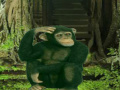 Jeu Chimpanzee Forest Escape