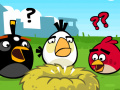 Jeu Angry Birds HD 3.0