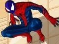 Game Spiderman Costume
