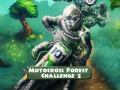 Jeu Motocross Forest Challenge 2
