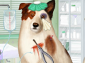 Jeu Doctor For Dog With a Blog