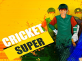 Jeu Super Cricket      