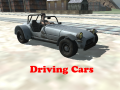 Game Driving Cars
