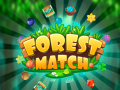 Game Forest Match