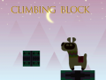Jeu Climbing Block