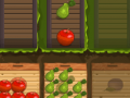 Game Fruit Gardener