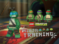 Game Teenage Mutant Ninja Turtles: Ninja Training