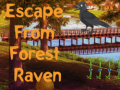 Jeu Escape from Forest Raven