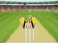 Game Cricket Wicket