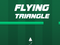 Game Flying Triangle