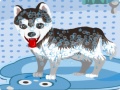 Game My Cute Dog Bathing