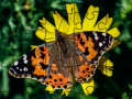 Game Jigsaw Puzzle: Spring