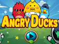 Game Angry Ducks