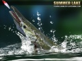 Game Summer Lake 1.5