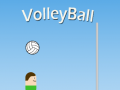 Game VolleyBall