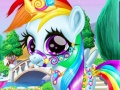 Game Rainbow Pony Caring