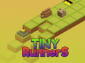 Game Tiny RunnerS