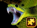 Game Snake Puzzle Challenge