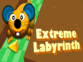Game Extreme Labyrinth